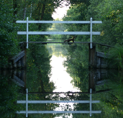 Boommarter op brug
