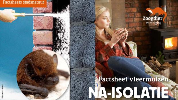 Factsheet vleermuizen en na-isolatie