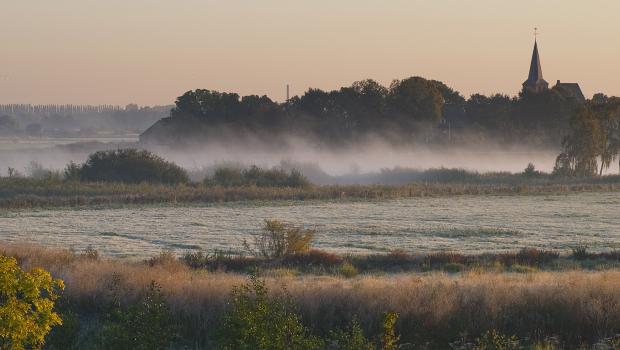 Heggenlandschap