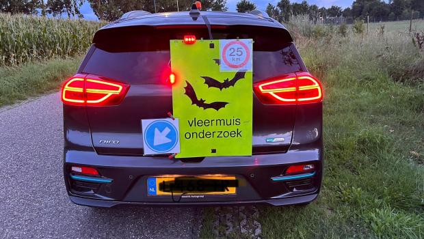 Vleermuisonderzoek voor NEM-VTT