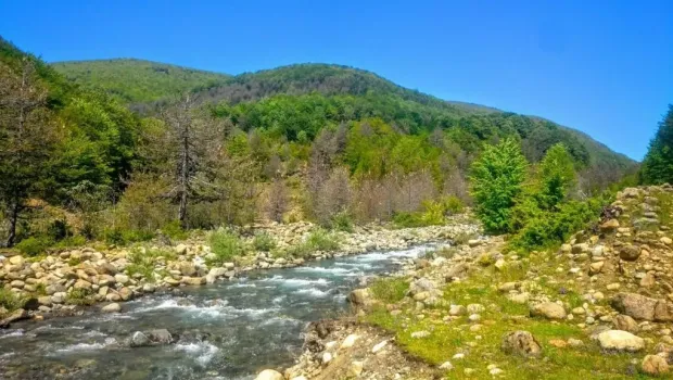 Albanië rivier Bushtrica