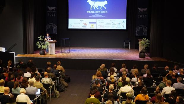 Openingsdag Wolves Across Borders 2025