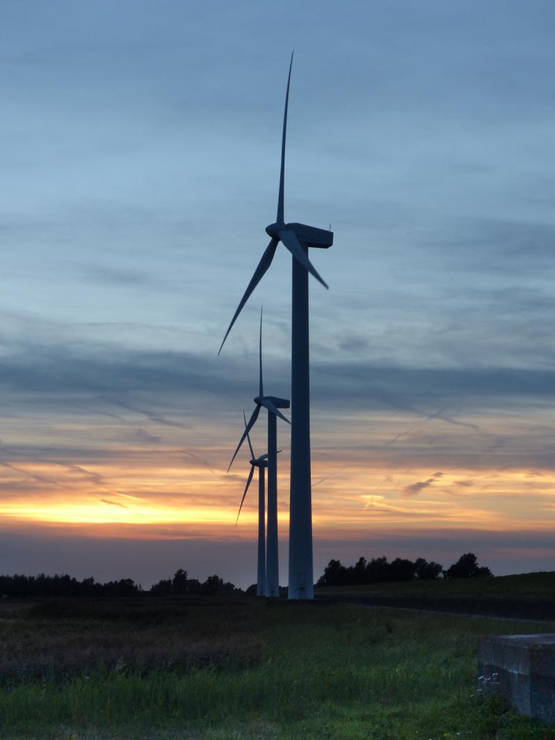 Windturbines bij Bergen op Zoom Foto Erik Korsten