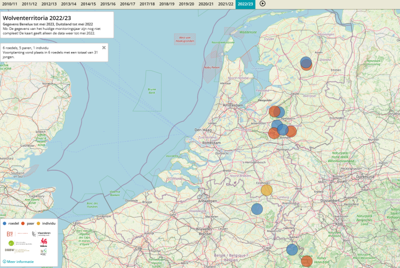 Overzicht wolventerritoria Benelux