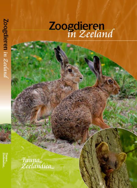 Zoogdieren in Zeeland