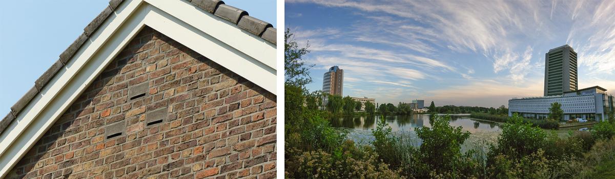 Inbouwvoorzieningen voor vleermuizen en een natuurrijk kantoorpark