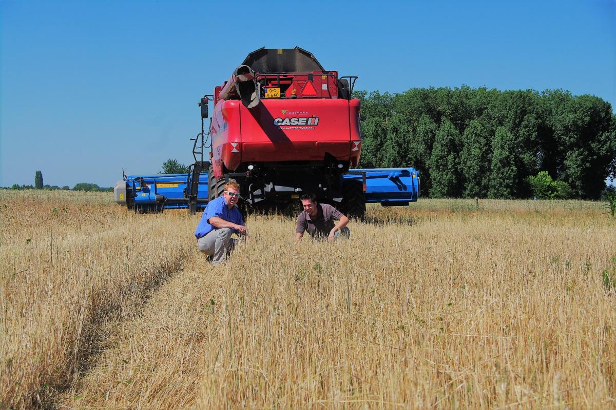 Het aantal agrariërs dat interesse toonde voor de nieuwe wijze van hamsterbeheer met oogsten is verdubbeld, mede door de inzet van innovatieve oogstmethodes zoals hier de arenstripper (Bron: Rik Schreurs)