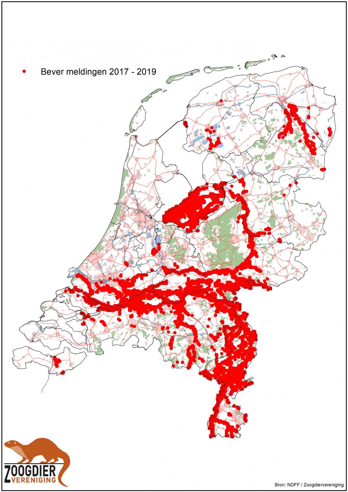 Figuur 1. Verspreiding van de bever in de periode 2017-2019 (Bron NDFF/Zoogdiervereniging)