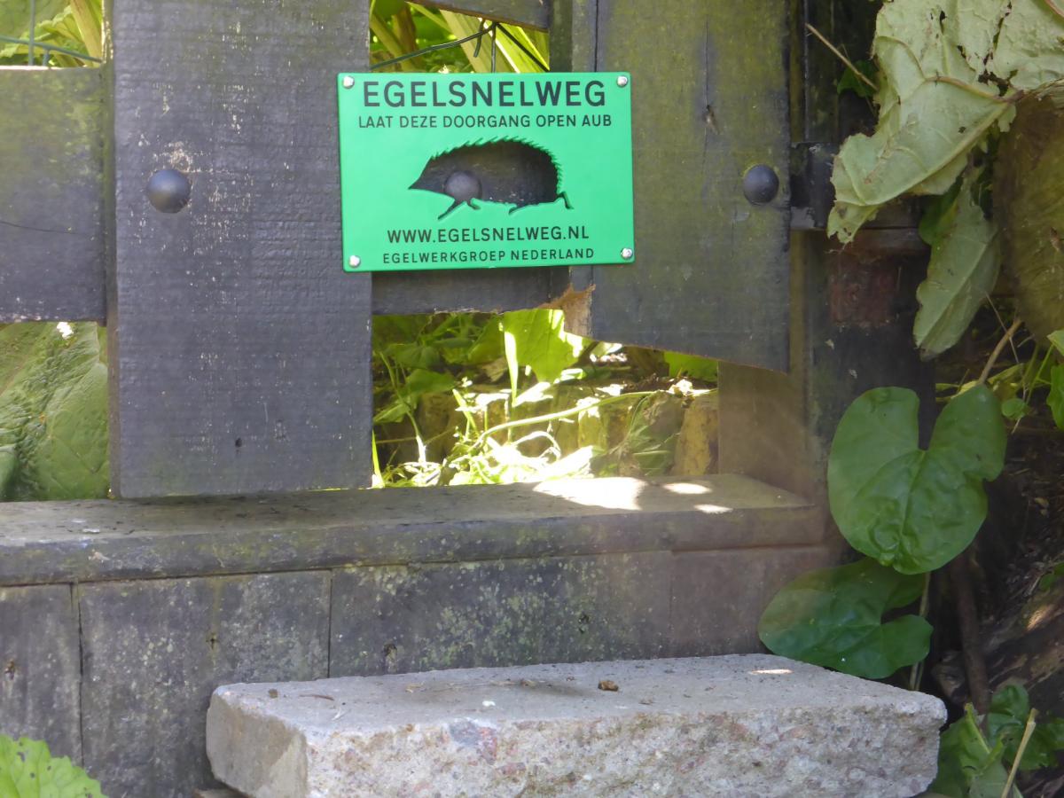 Egelsnelweg in de tuin van een egelliefhebber (Bron: Anke van Westerlaak)
