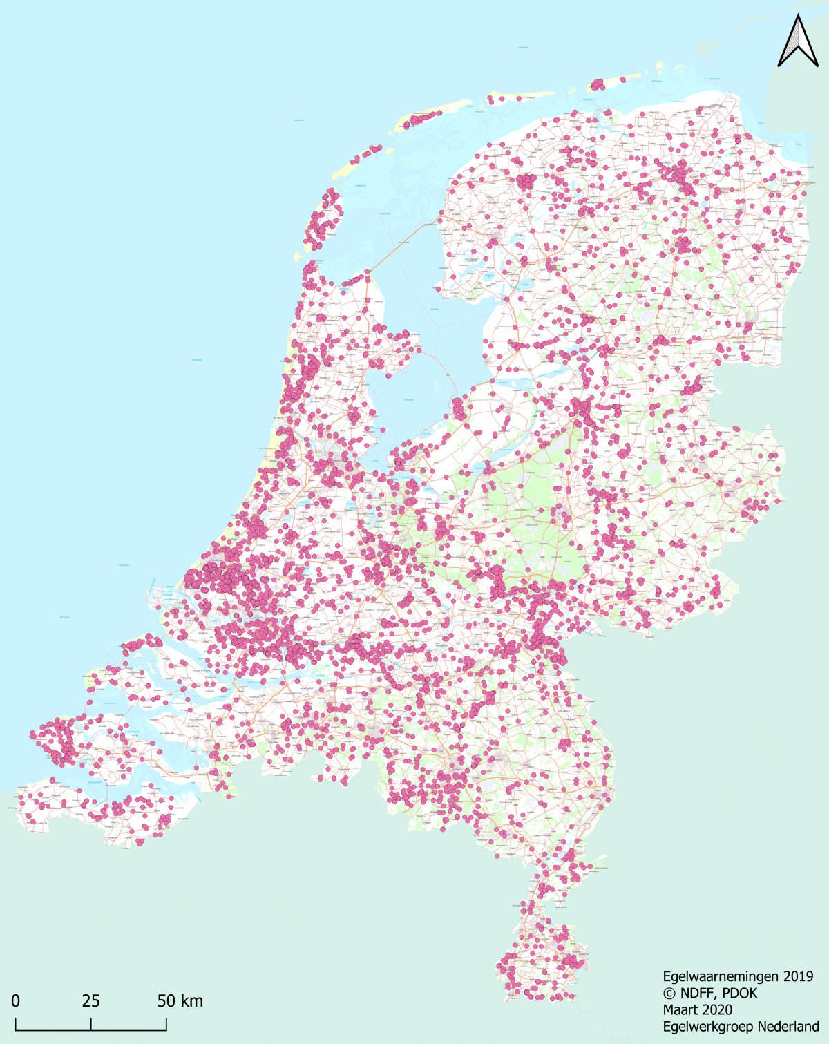 Verspreidingskaart van egelwaarnemingen uit 2019 (Bron: Egelwerkgroep Nederland/NDFF)
