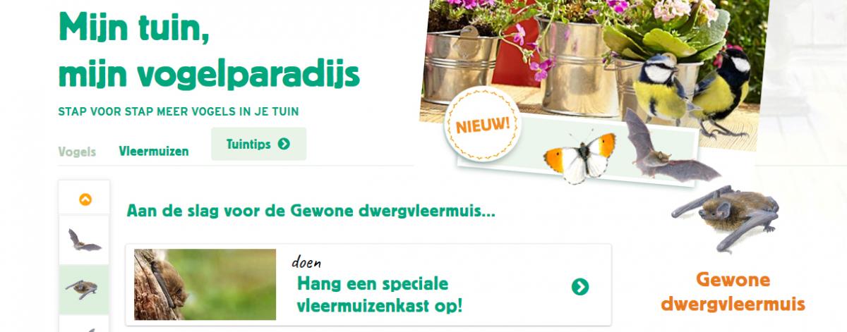 Mijn Vogeltuin - ook voor vleermuizen