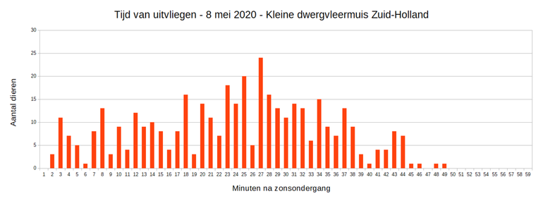 Uitvliegen van kleine dwergvleermuizen op 8 mei 2020 (Bron: Provincie Zuid-Holland)
