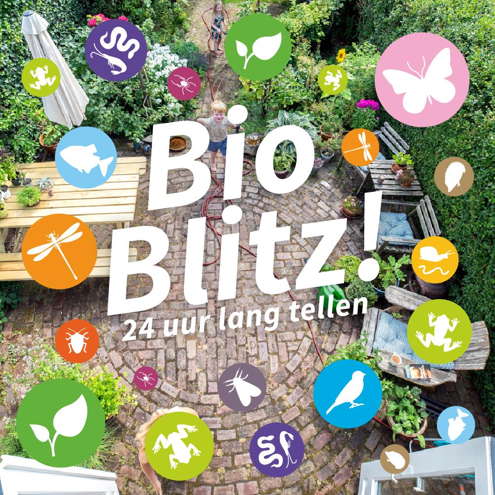 Header Bioblitz Jaarrond Tuintelling