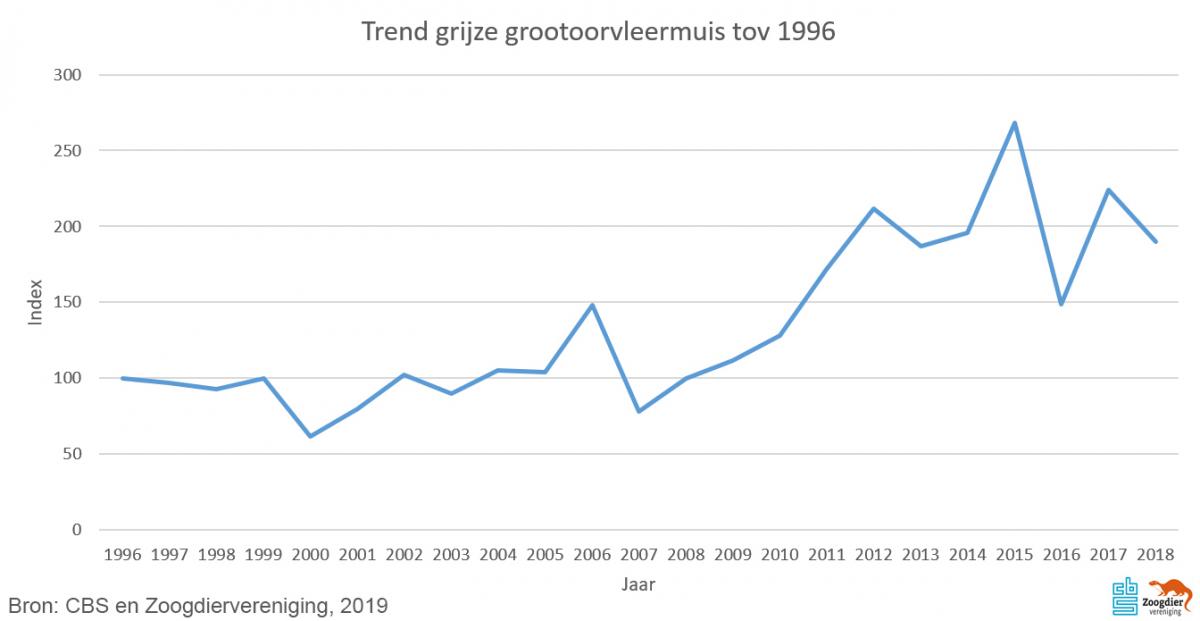 Grijze grootoorvleermuis Trend 2019