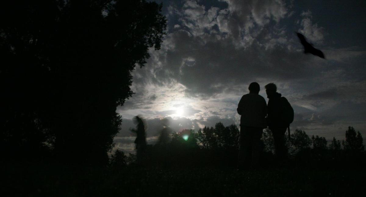 Sfeerfoto Nacht van de Vleermuis