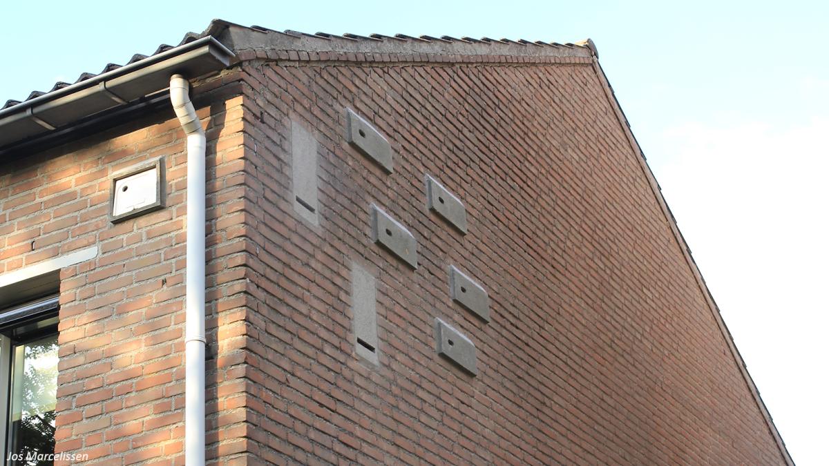 Inbouwkasten voor vleermuizen, huismus en gierzwaluw