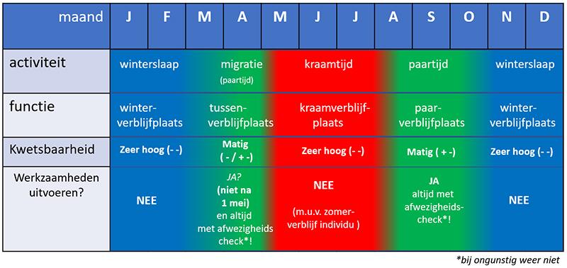 Kwetsbare perioden vleermuizen en ruimtelijke ingrepen