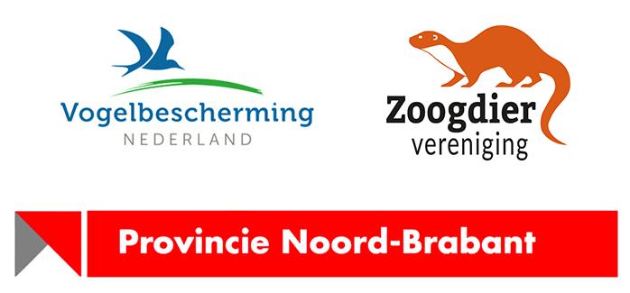 Logos NIB Award 2021