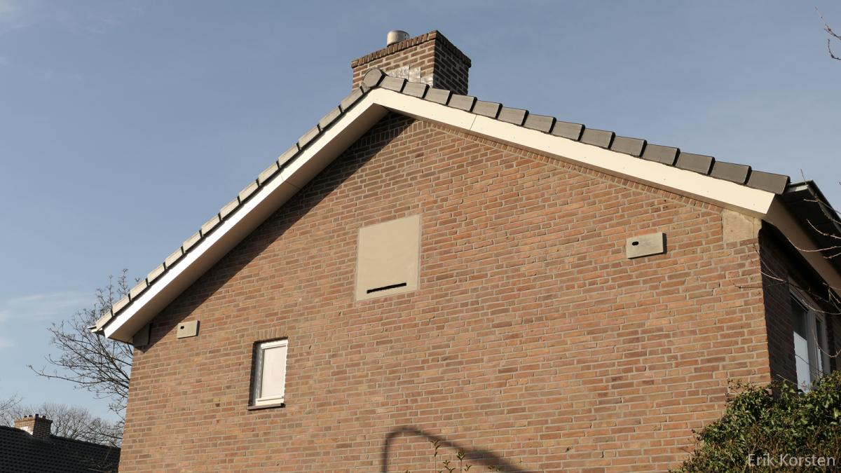 Inbouwkraamkast voor dwergvleermuizen en inbouwkasten voor gierzwaluwen
