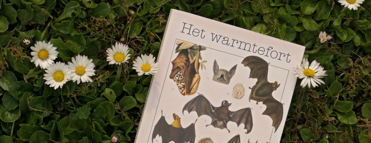 Omslag Warmtefort van Marieke Lucas Rijneveld