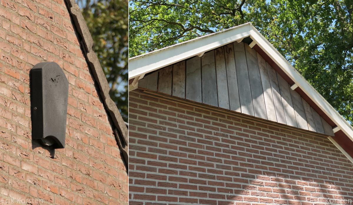 Vleermuiskast en gevelbord voor vleermuizen