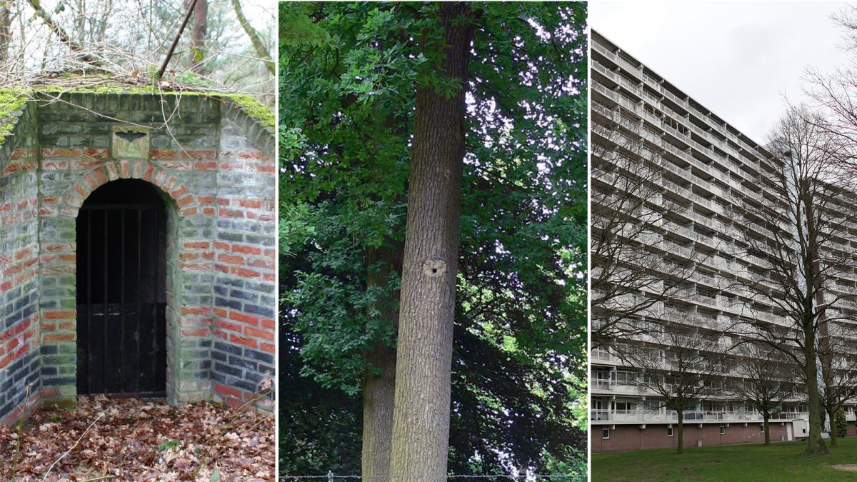Ijskelder, boomholte en flatgebouw