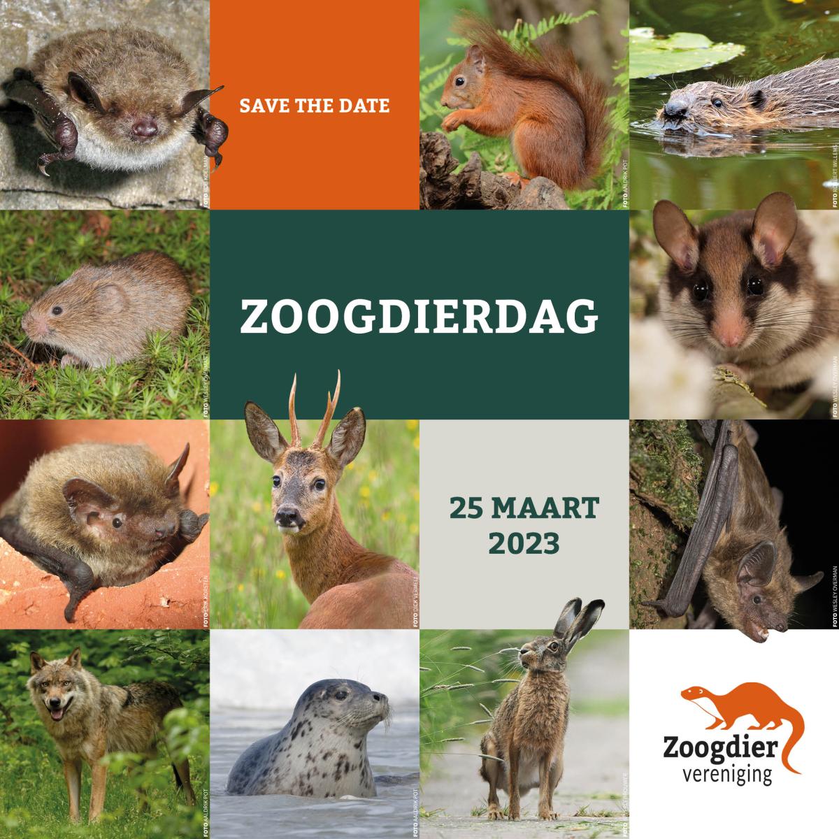 Save the date Zoogdierdag 2023