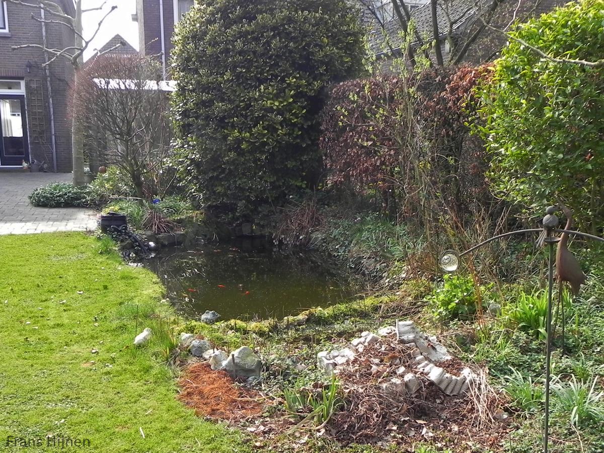 Tuinvijver (foto: Frans Hijnen)