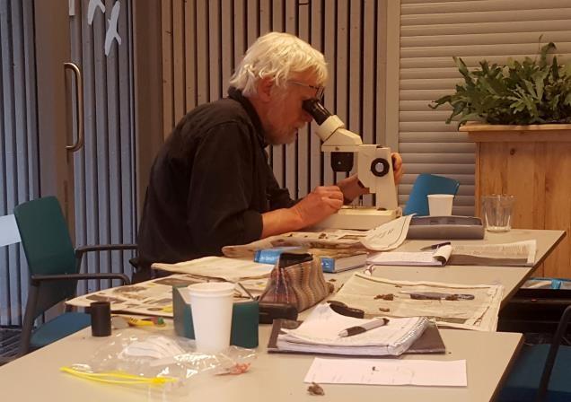pluizen met microscoop
