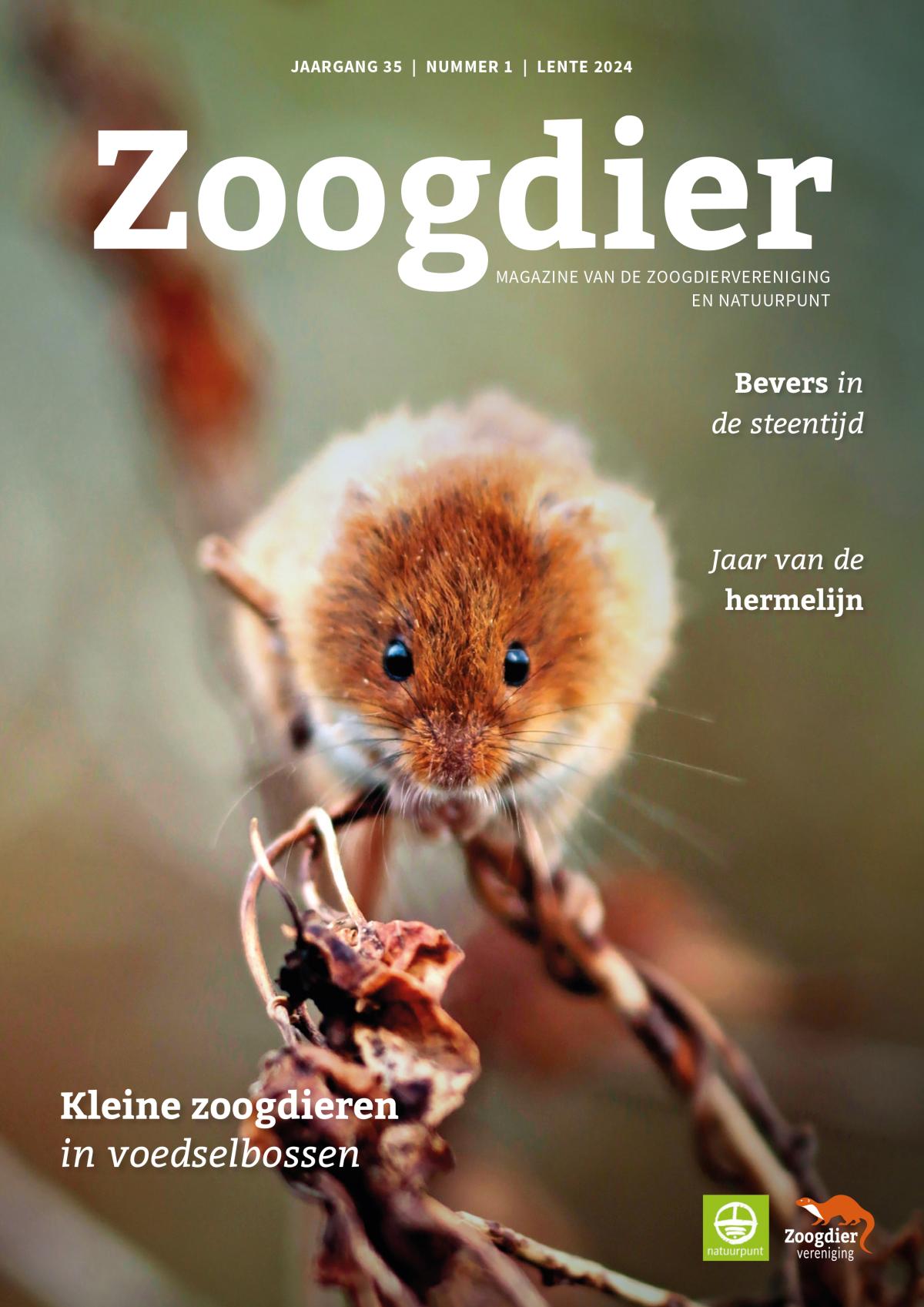Zoogdier 35-1