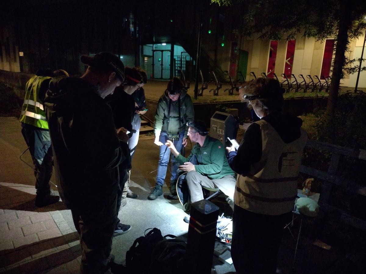 Na het vangen en zenderen wordt druk op de kaart gekeken en besproken hoe de zender het best kan worden gevolgd (bron: Erik Broer)
