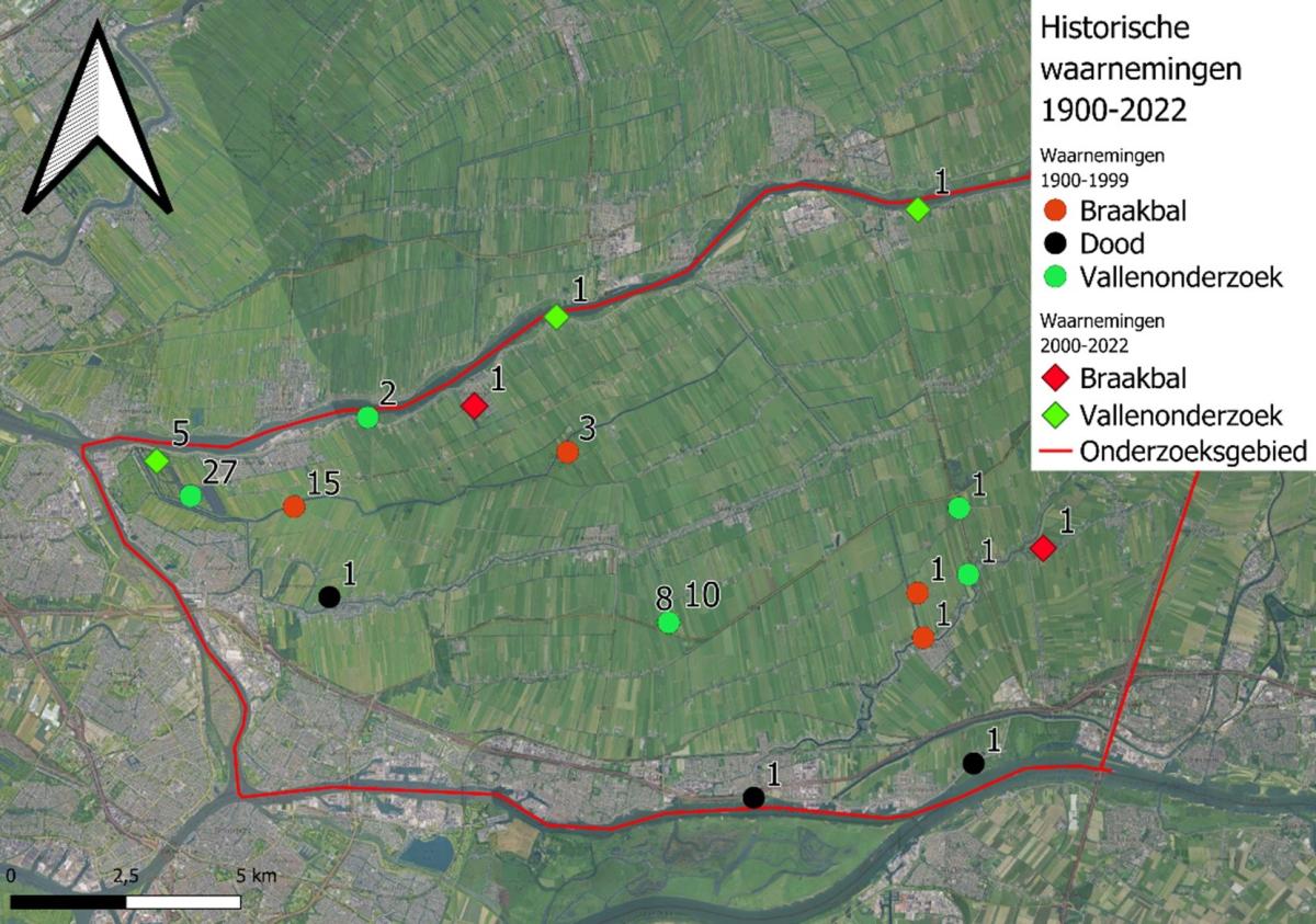 Historische waarnemingen van waterspitsmuizen in de periode 1900-2022