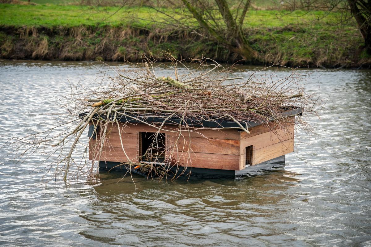 Drijvende hoogwatervluchtplaats (bron: Maikel Samuels voor Waterschap Aa en Maas)