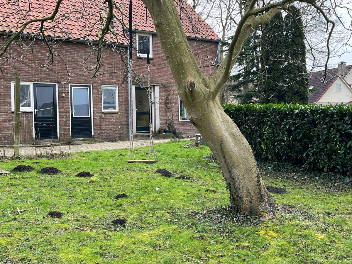 Molshopen in de tuin (bron: Saskia Ruth)
