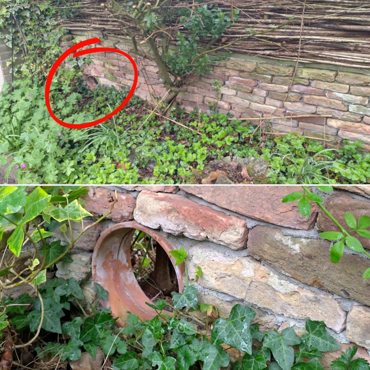 Een egelsnelweg is zelfs in een muur te realiseren. Hierdoor hoeft de egel geen gevaarlijke weg over te steken om van de ene naar de andere tuin te komen (bron: Erik Broer)