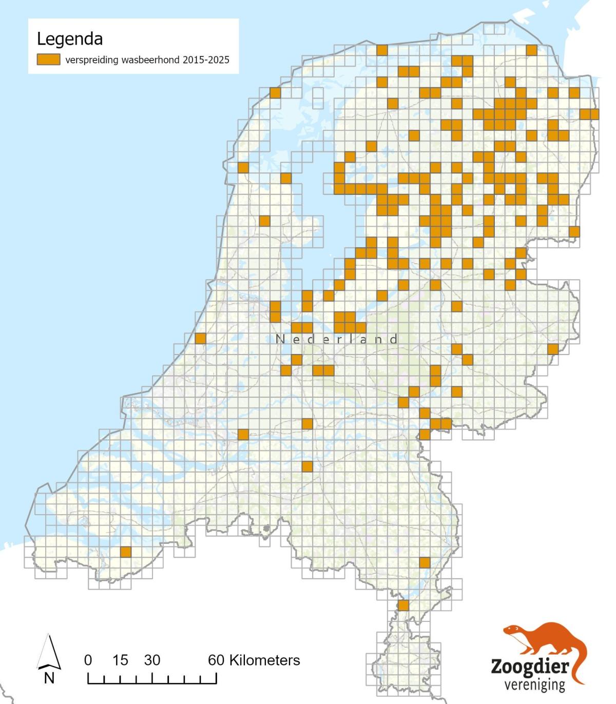 De verspreiding van de wasbeerhond in Nederland in de periode 2015-2025 (bron: NDFF/Zoogdiervereniging) 