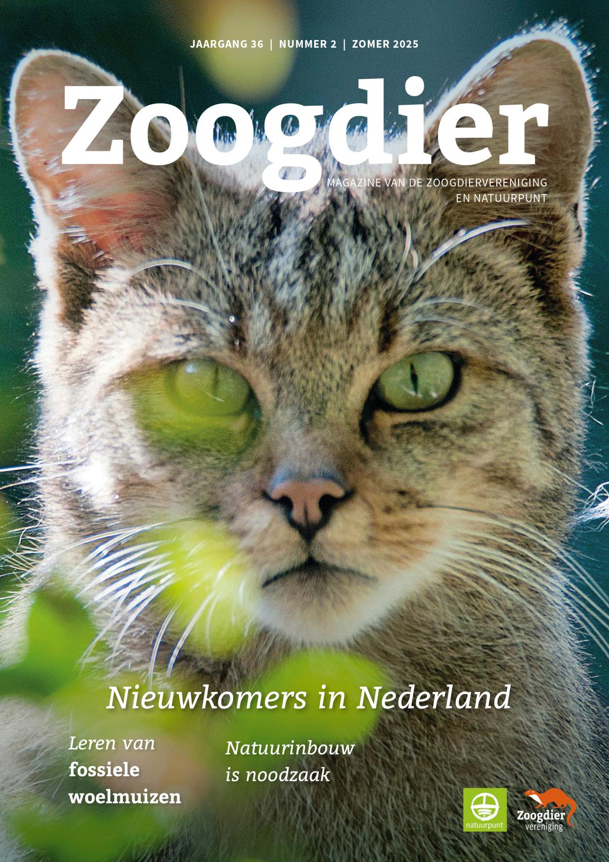 Zoogdier | zomer 2025