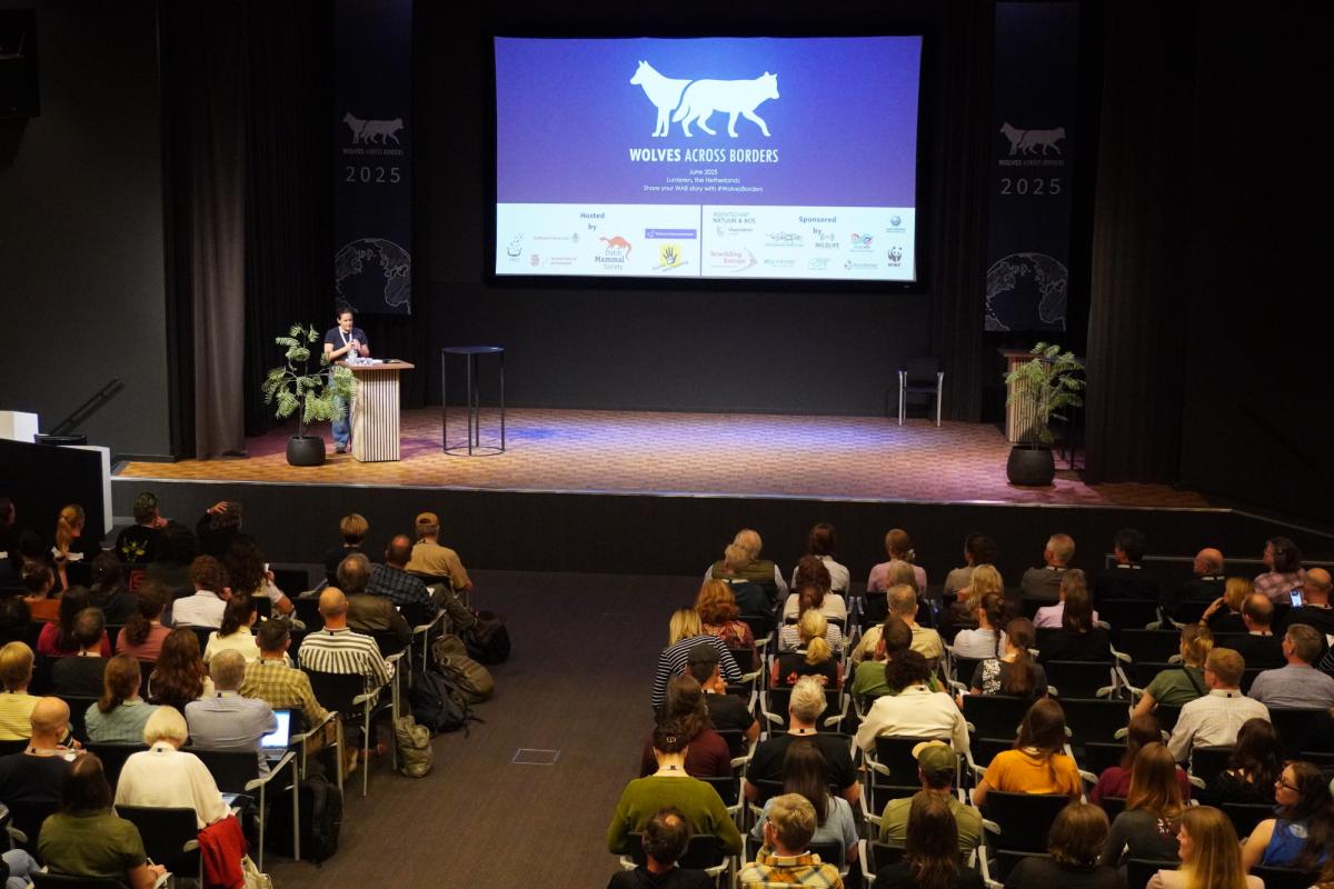 Openingsdag Wolves Across Borders 2025