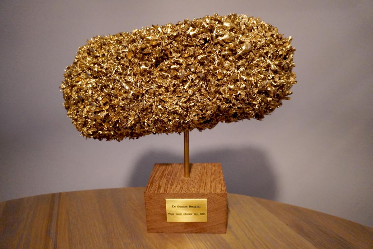 De Gouden Braakbal