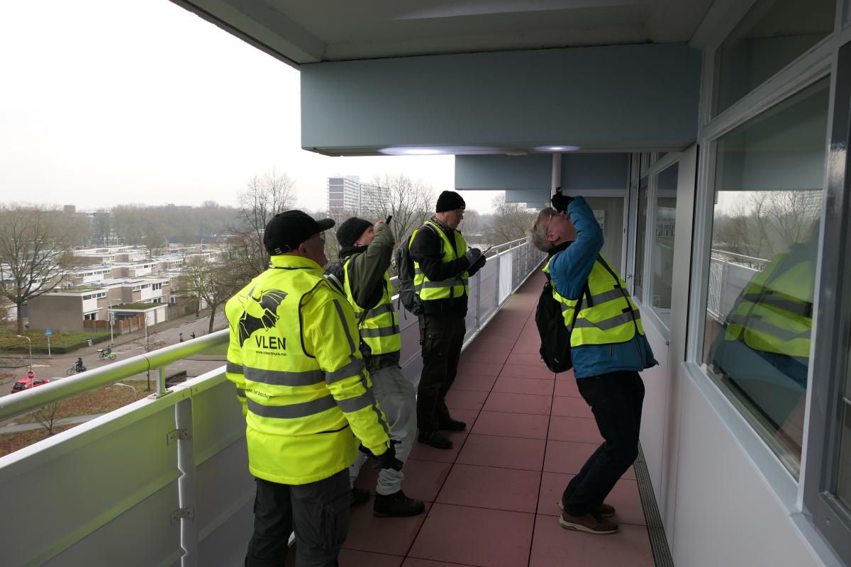 Vrijwilligers zoeken naar overwinterende dwergvleermuizen in het kader van het NEM wintertellingen vleermuizen (bron: Erik Korsten)