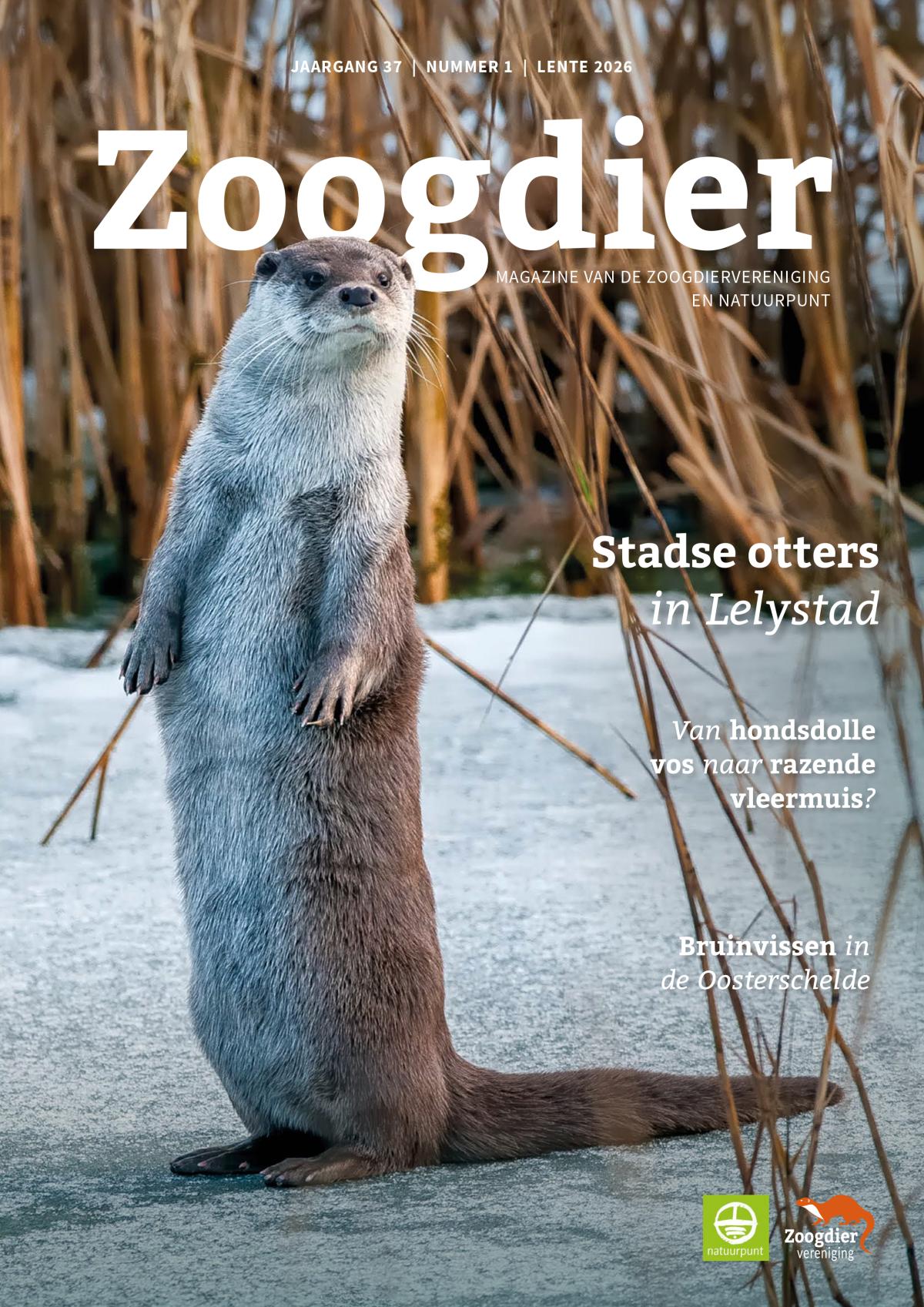 Zoogdier lente 2026