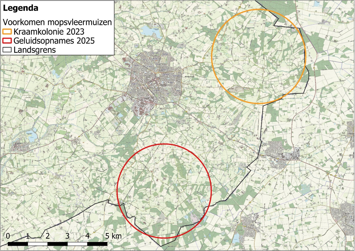 Voorkomen mopsvleermuizen ten oosten en ten zuiden van Winterswijk (bron: Joris Verhees)