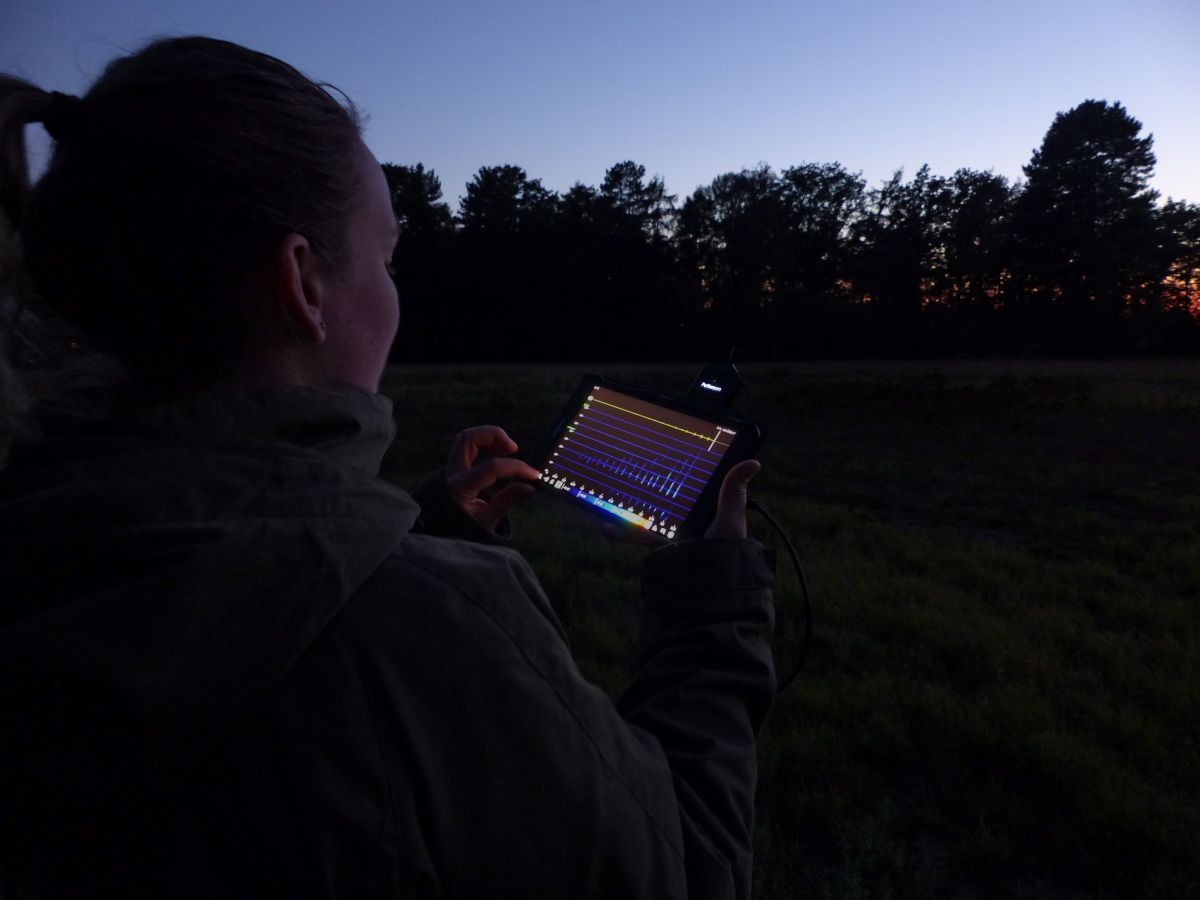Soms worden ook detectors gebruikt met een scherm waarop de ultrasone geluiden worden weergegeven (bron: Erik Korsten)