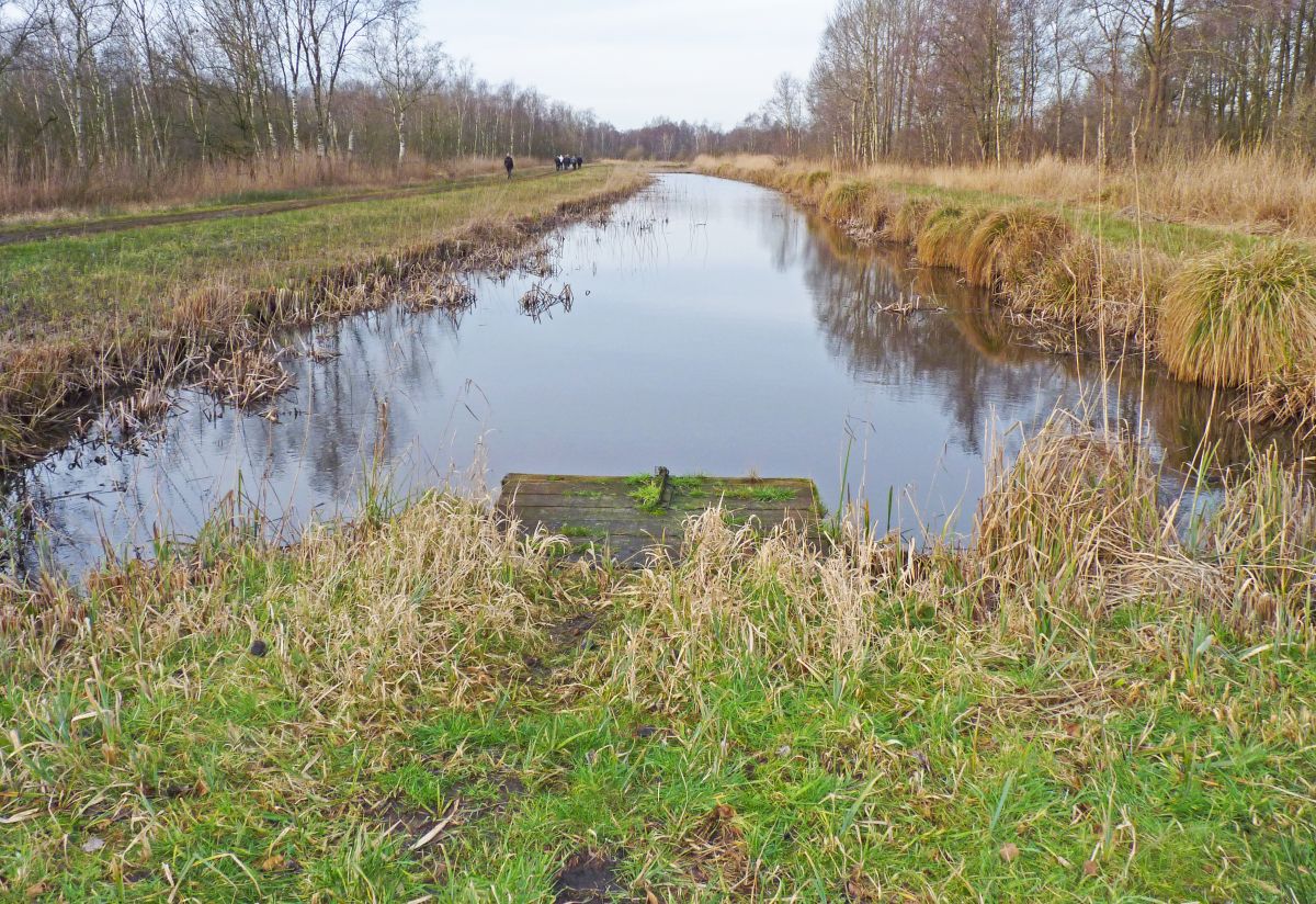 Otterspraintplek (bron: Rob Koelman)