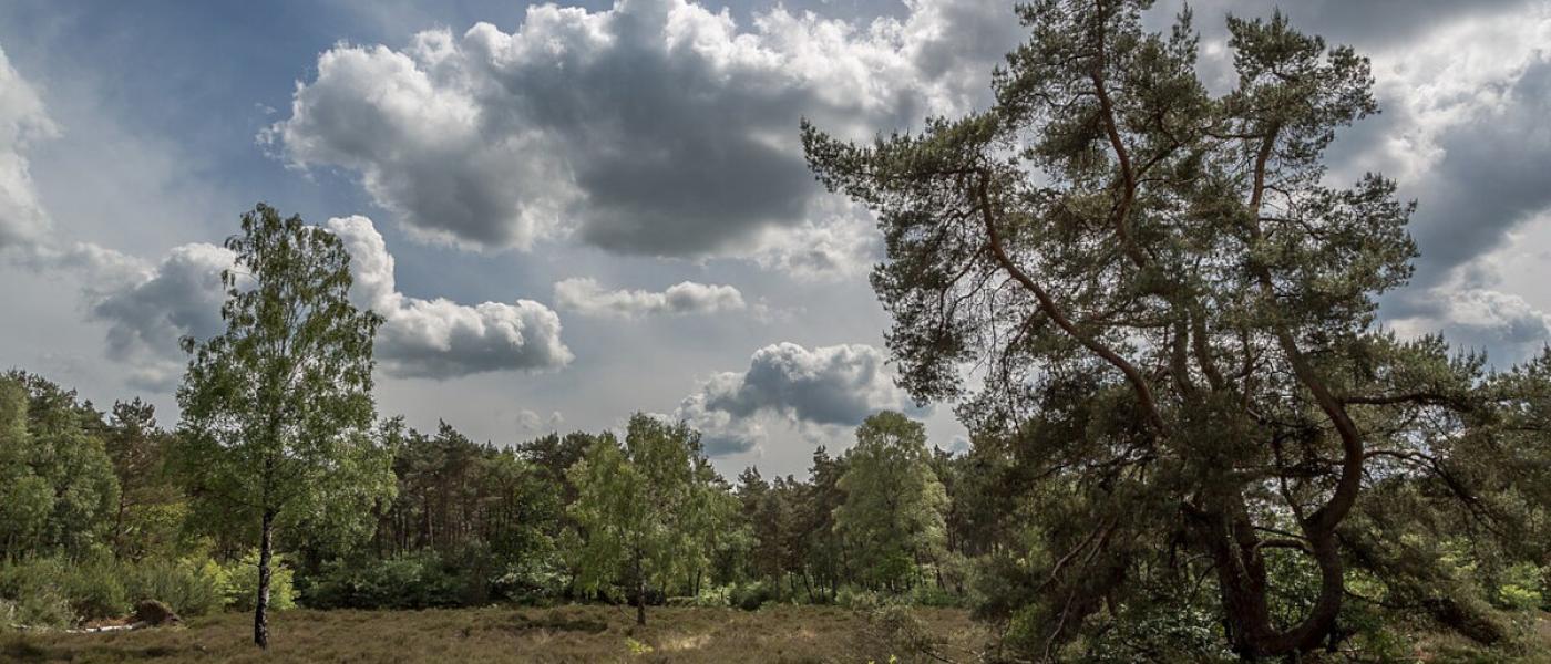 Utrechtse Heuvelrug