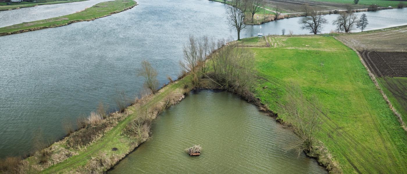Drijvende hoogwatervluchtplaats (bron: Maikel Samuels voor Waterschap Aa en Maas)