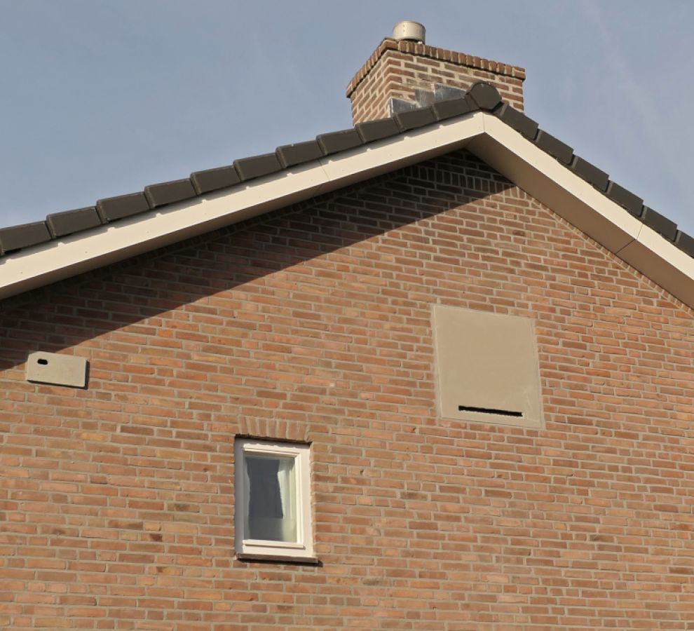Inbouwvoorzieningen voor vleermuizen en gierzwaluw