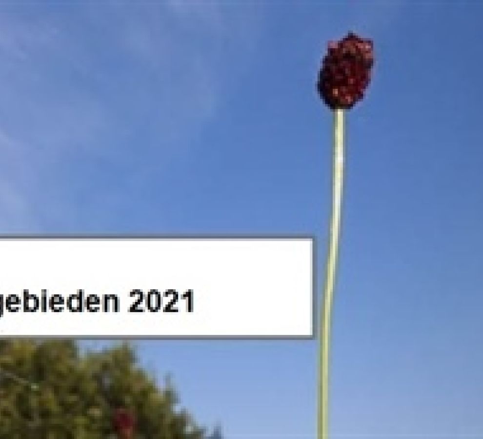 Symposium ‘Biodiversiteit en Leefgebieden’