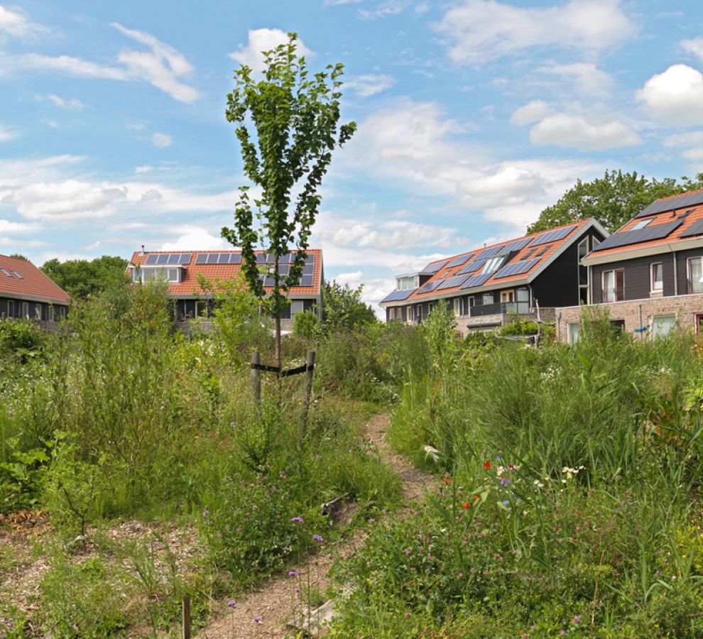 Natuurinclusieve wijk