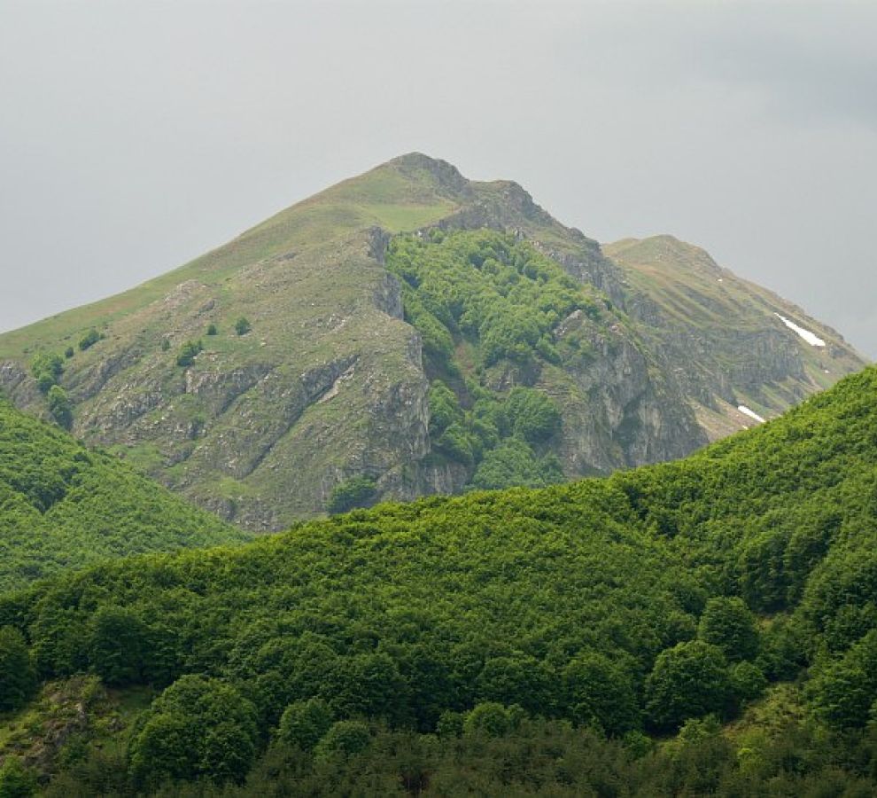 Gorna Belica